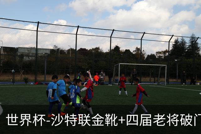 世界杯-沙特联金靴+四届老将破门 十人墨西哥2-0九人南非